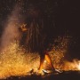 My Second Ayahuasca Experience